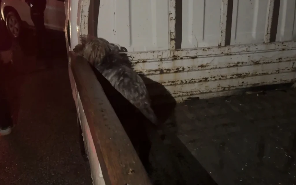 Edirne sanayide korkutan yangın!