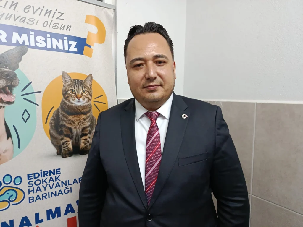 Köpek üretim çiftliğine operasyon Kurtarılan 'Poodle'lar sahiplendiriliyor (1)