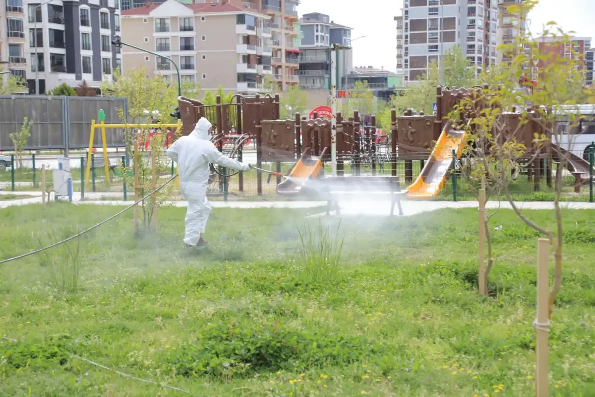 Edirne Belediyesinden  İlaçlama Seferberliği