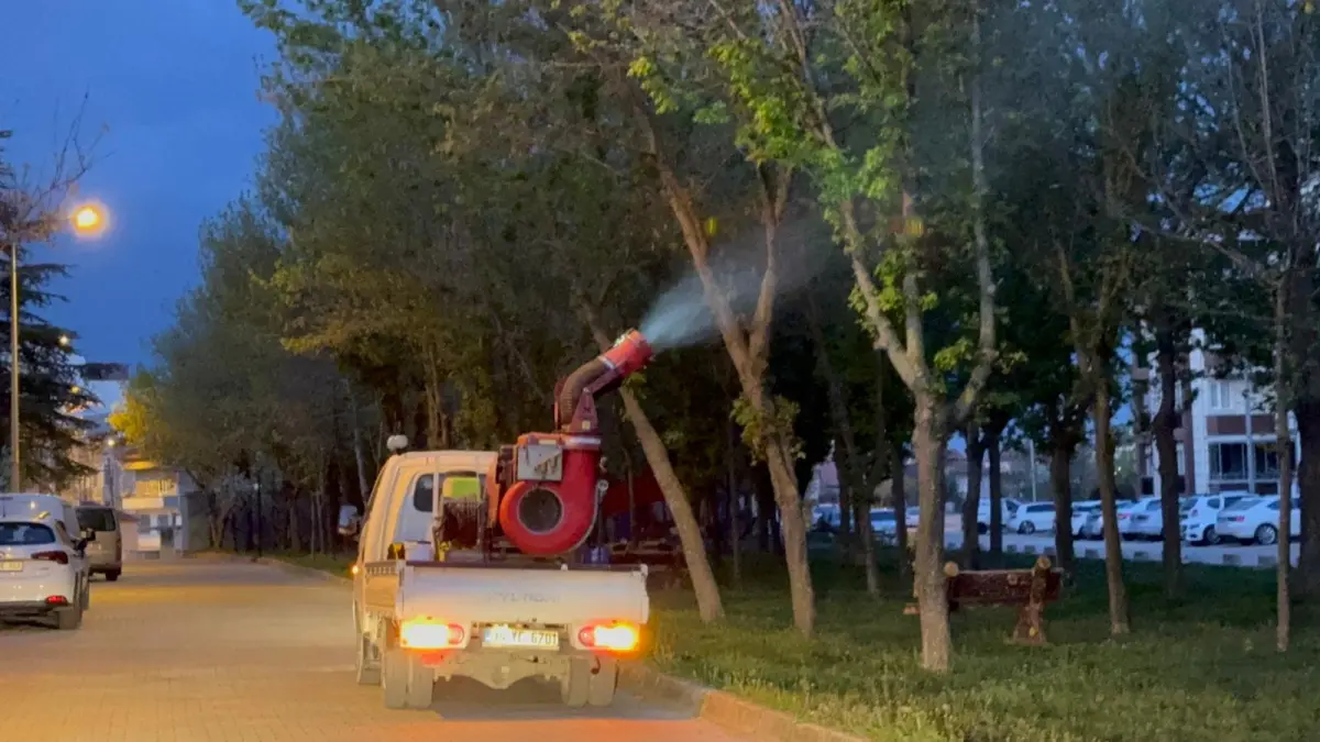 Haşere ve sineklere karşı ilaçlama