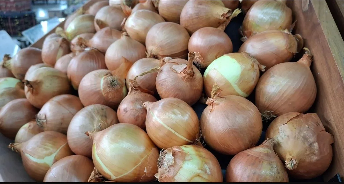 Kuru soğan ihracatı yıla hızlı başladı