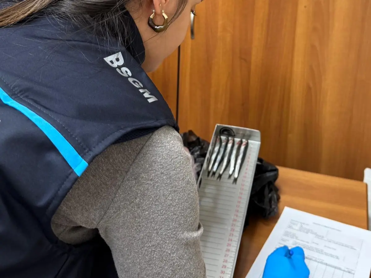 Su ürünlerine boy ve ağırlık denetimi