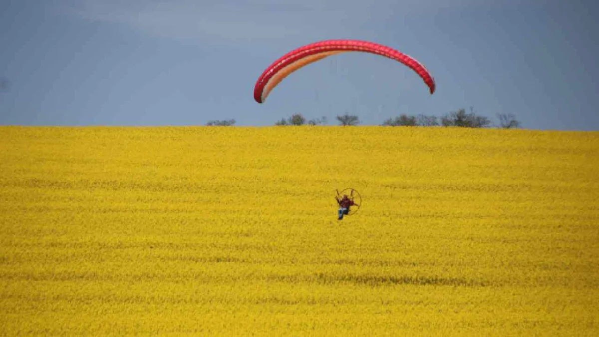 Tekirdağ’da paramotorla kanola tarlası üzerinde uçuş yapıldı