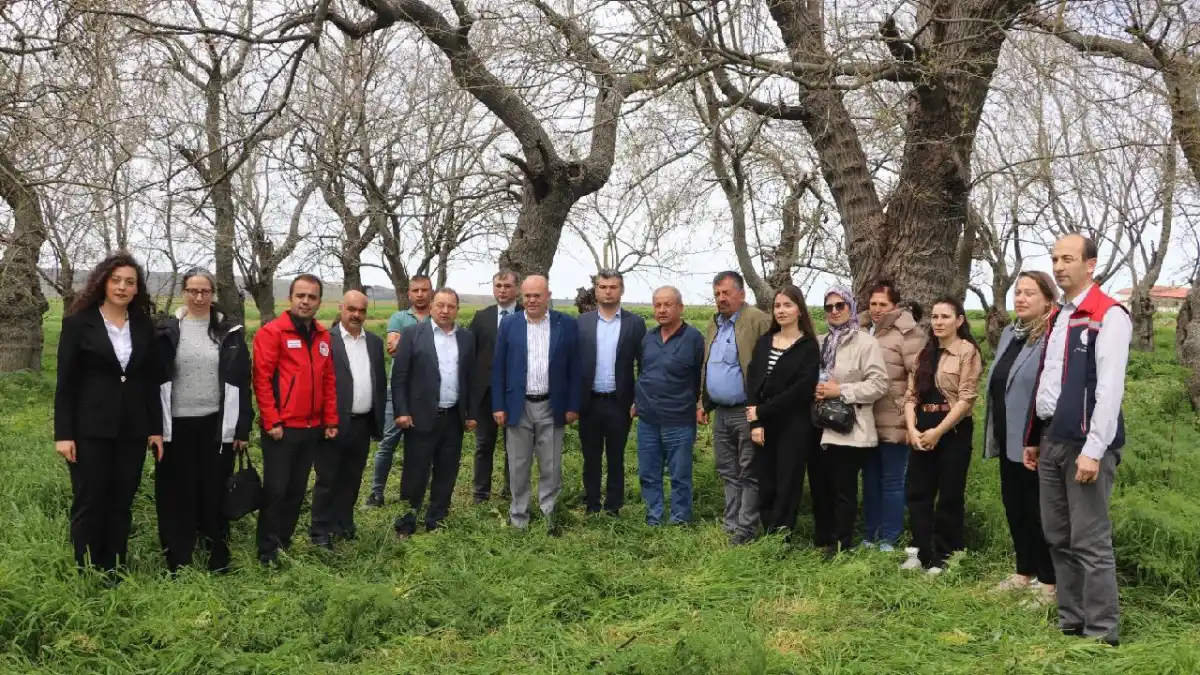 Toprağı Olanlara Alternatif Kazanç Yolu!