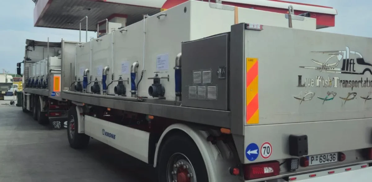 Türkiye'den Arnavutluk'a 350 Bin Yavru Levrek İhracatı Yapıldı