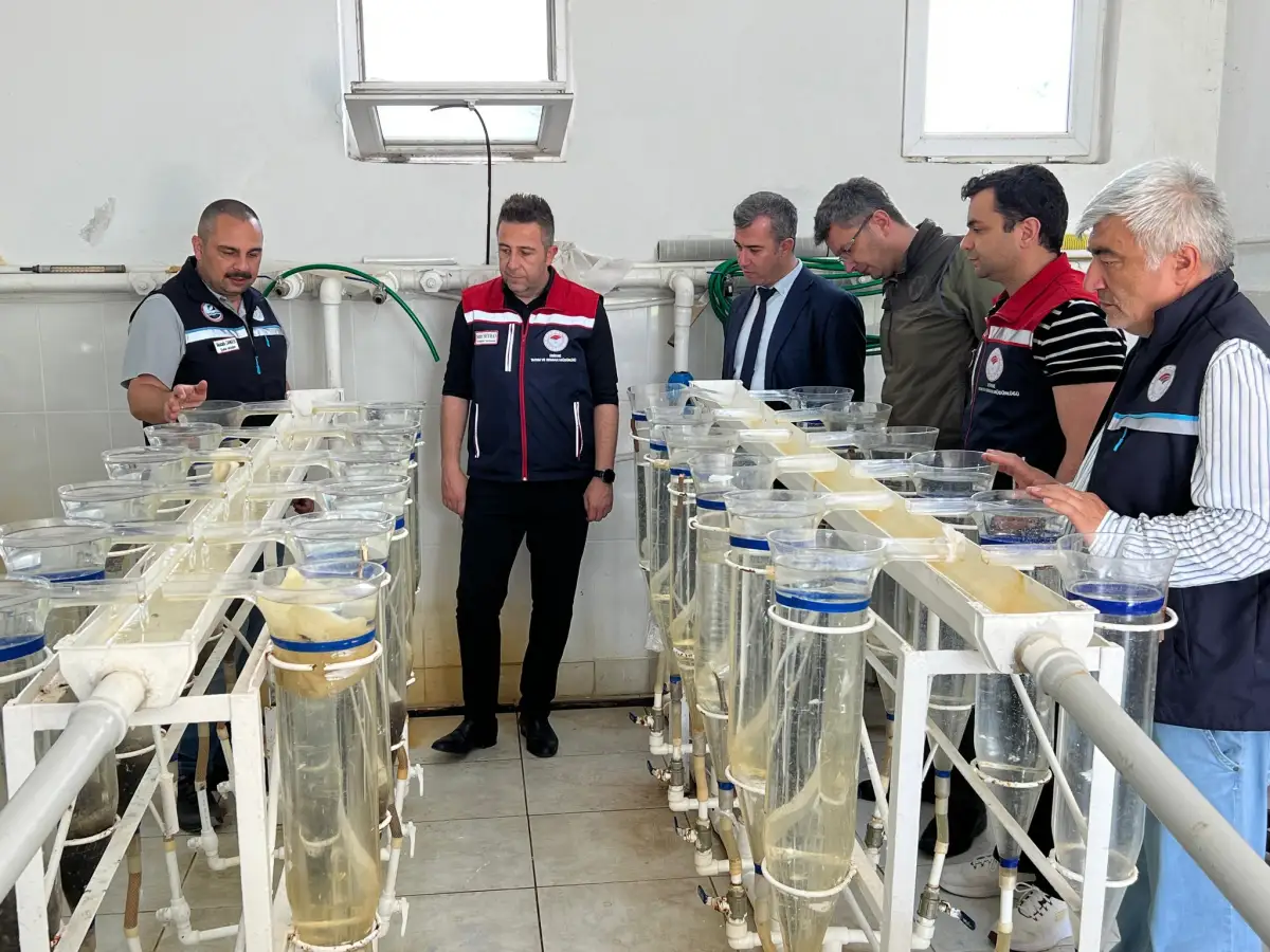 Balık üretimi mercek altında