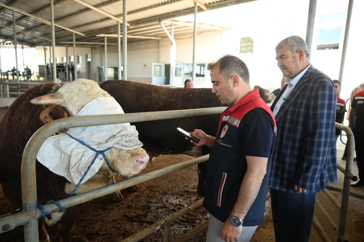 Edirne'de kurbanlık satış alanları denetlendi