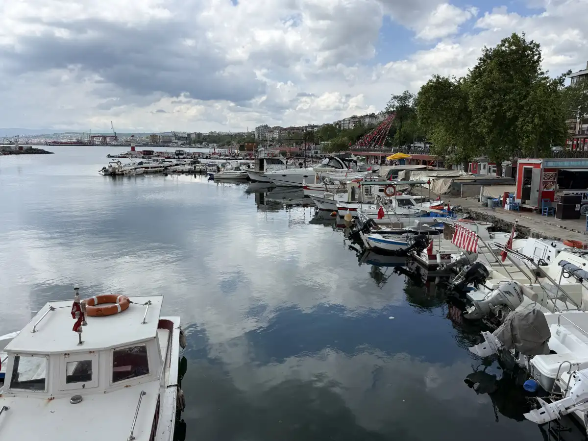 İstavrit tezgahların gözdesi