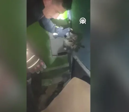 Merdiven Boşluğunda Can Pazarı