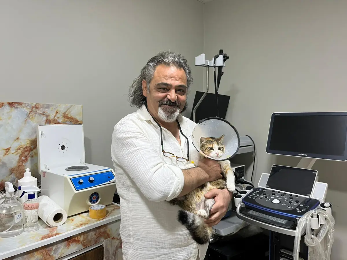 Sahipsiz canlar için uzman reçetesi: Doğru bakım hayat kurtarıyor