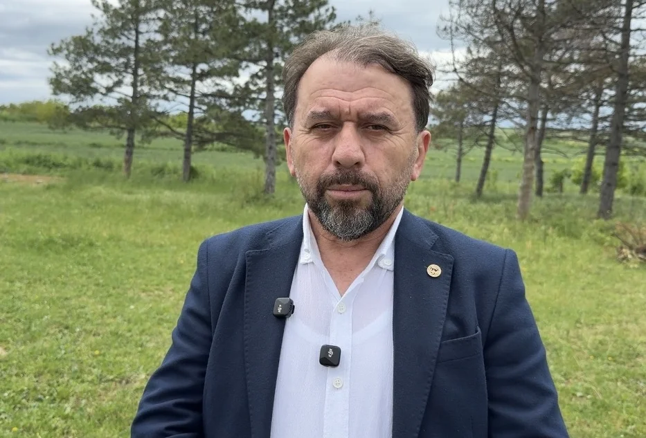 Yerli ayçiçeği tohumu pazar payını yüzde 15'e çıkardı