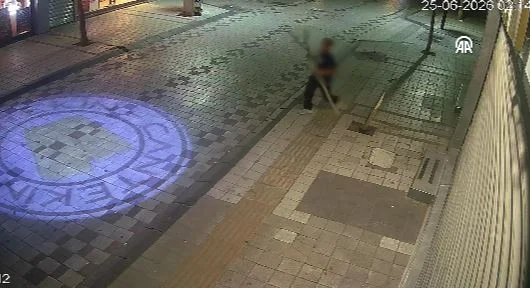 Ağacı Kıran Şüpheliye Soruşturma