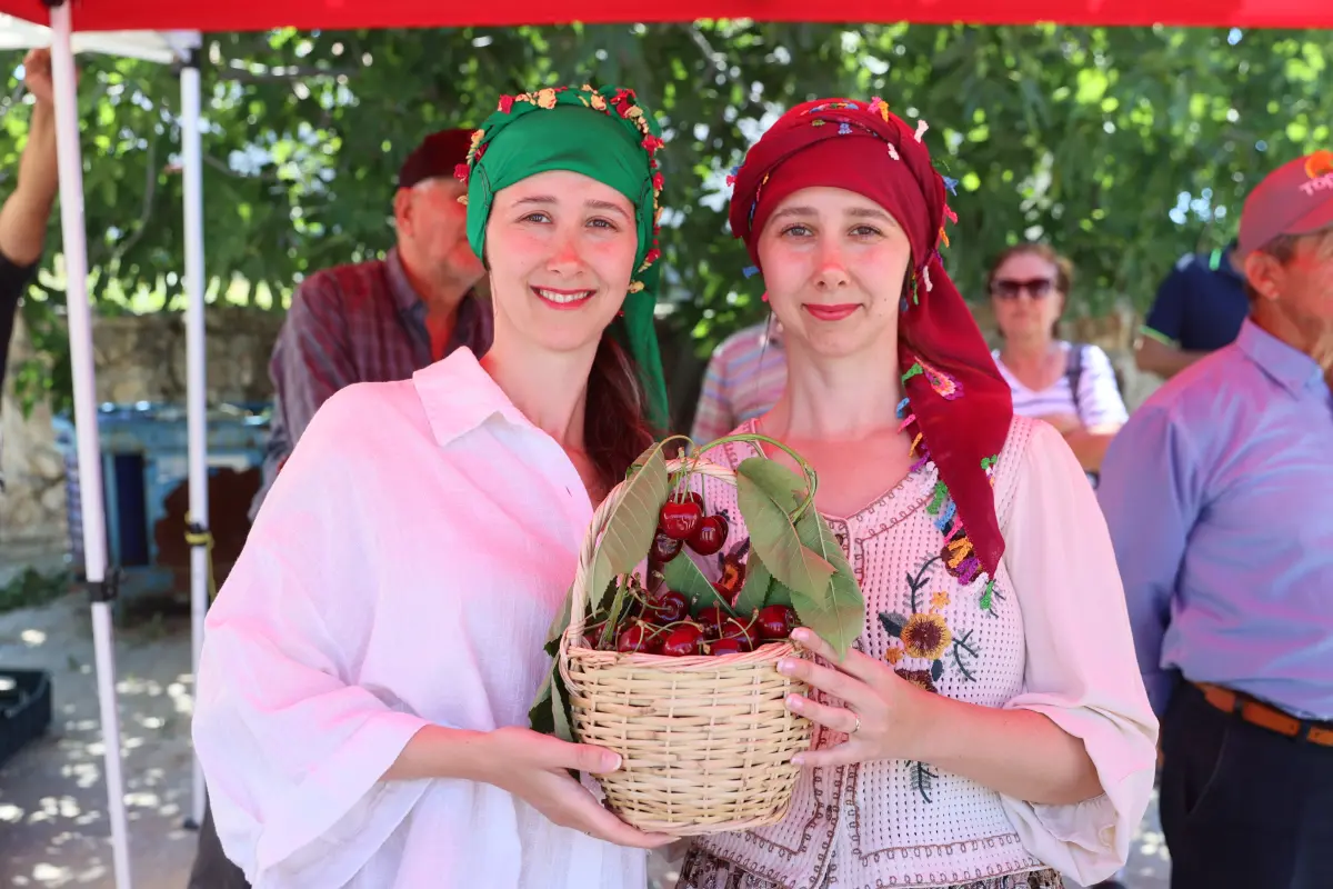 “Çeribaşı” Kirazında Hasat Heyecanı Başladı