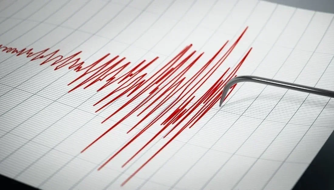 Edirne merkezde deprem!
