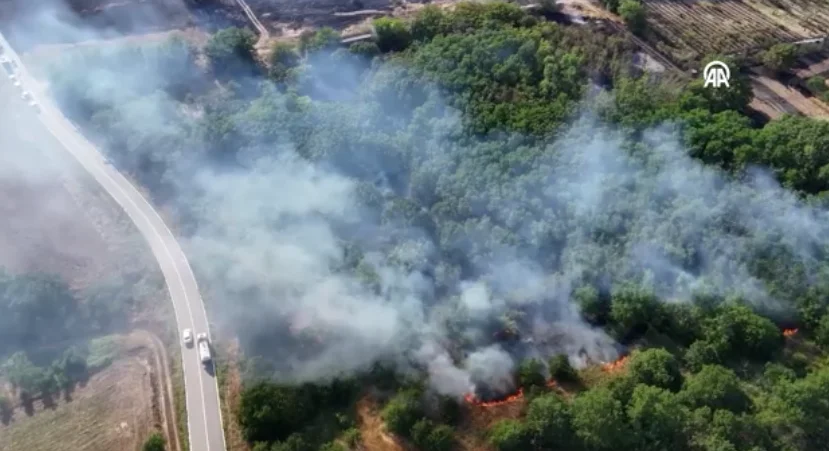 Edirne’de anız yangını ağaçlık alana sıçradı, ekipler seferber oldu