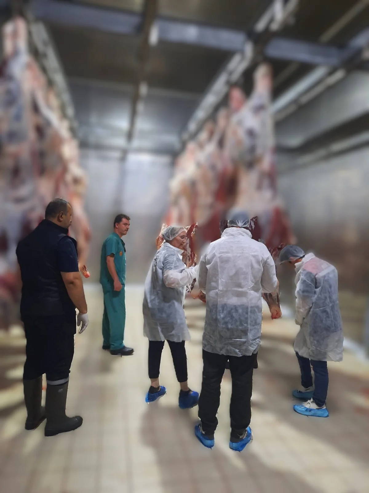 Edirne'de gıda güvenirliği denetimi yapıldı