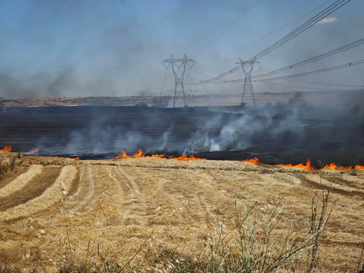 Edirne'de mezarlık yanında korkutan yangın: Lalapaşa yolu kapatıldı