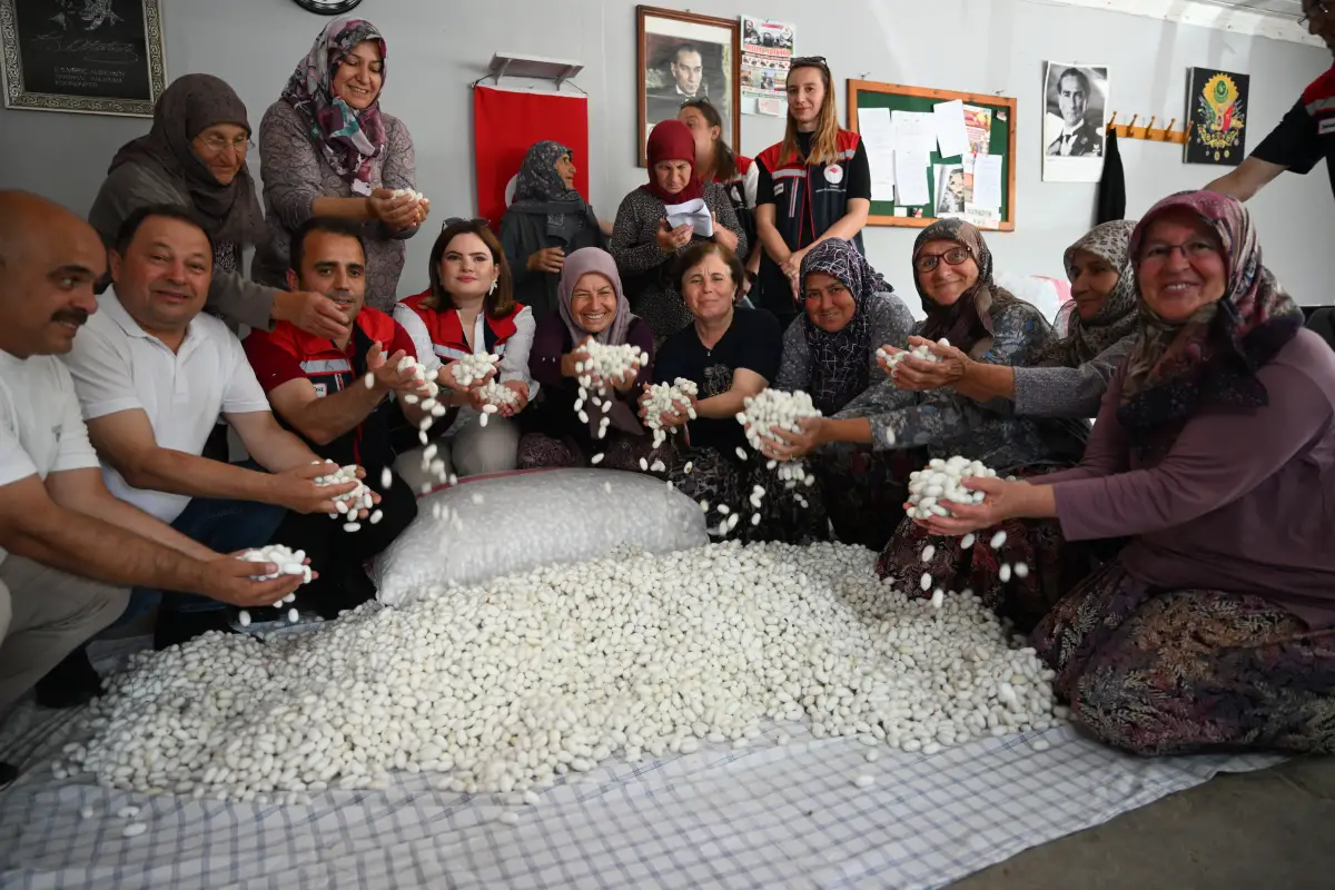 İpekböcekçiliği Edirne’de kadınlarla yeniden canlanıyor