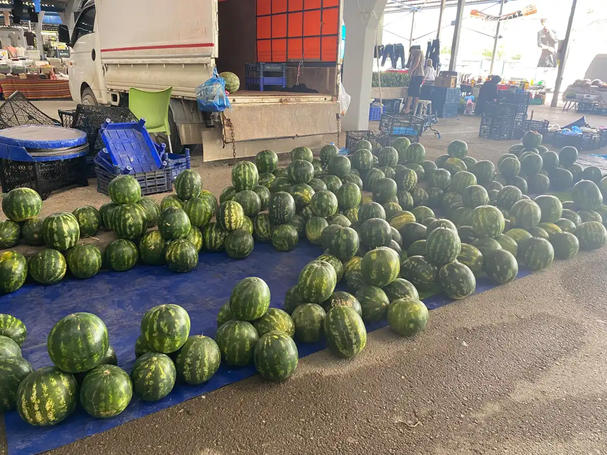 Karpuz pazara indi, tezgahlar renklendi