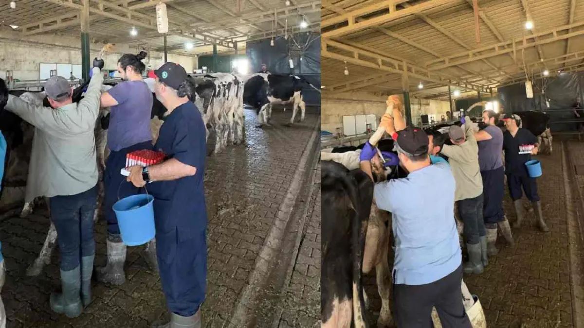 Keşan'da hastalıktan ari işletmeler denetlendi