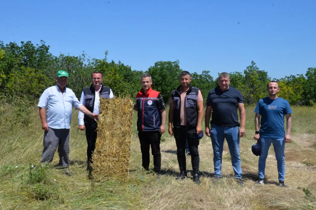 Meriç'te mera otları balyalanarak hayvancılığa destek sağlanıyor