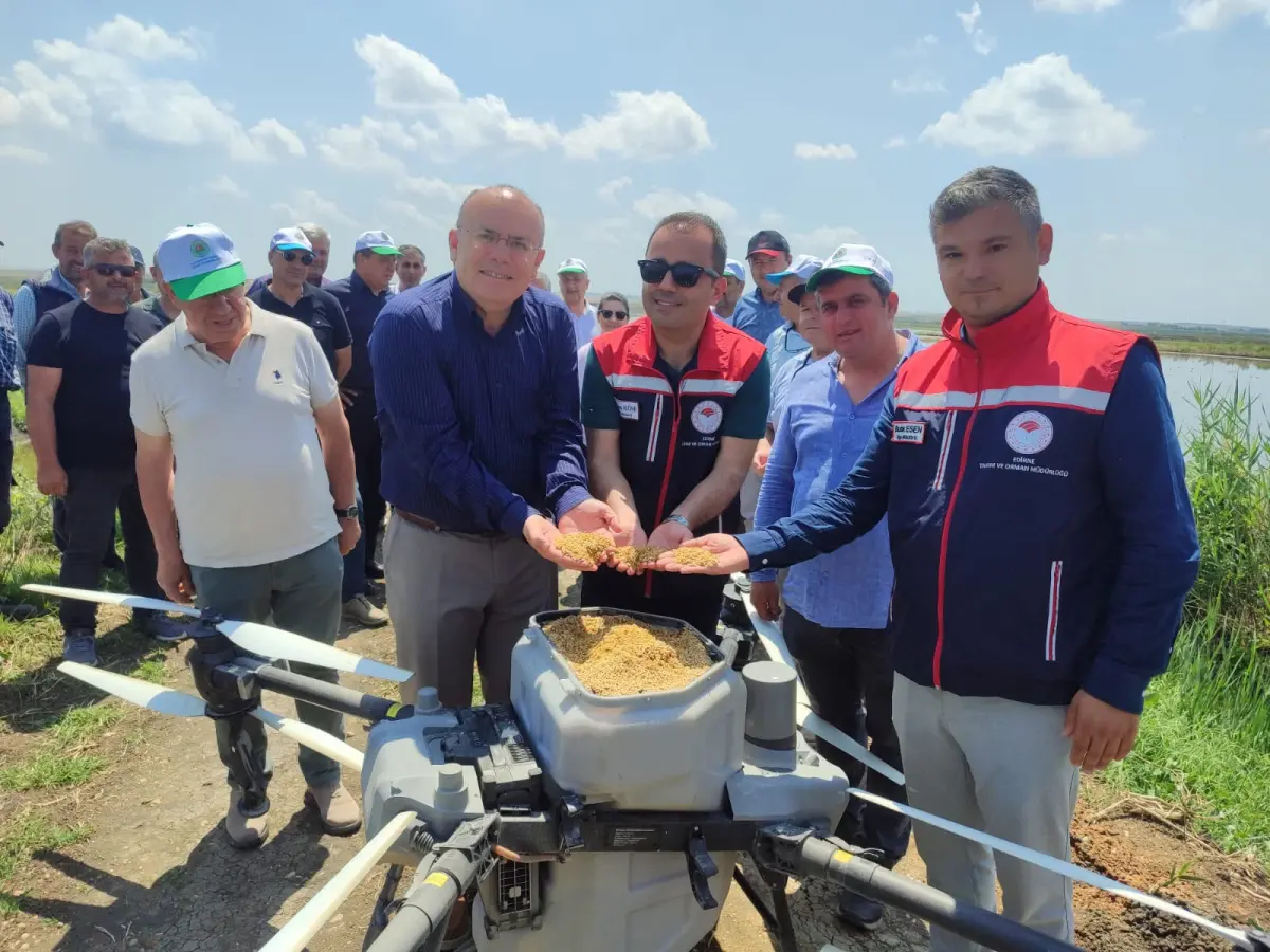 Tarımın geleceği Edirne'de: Dronla çeltik ekimi