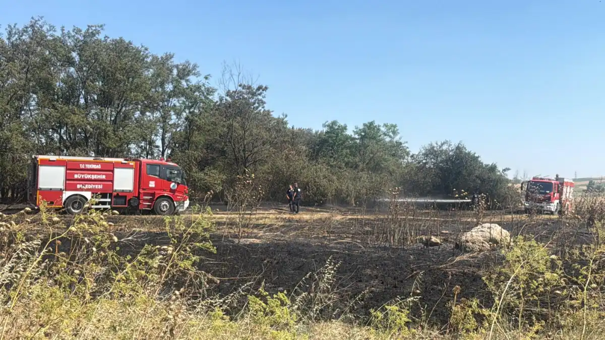 Tekirdağ'da ot yangını binalara da sıçradı