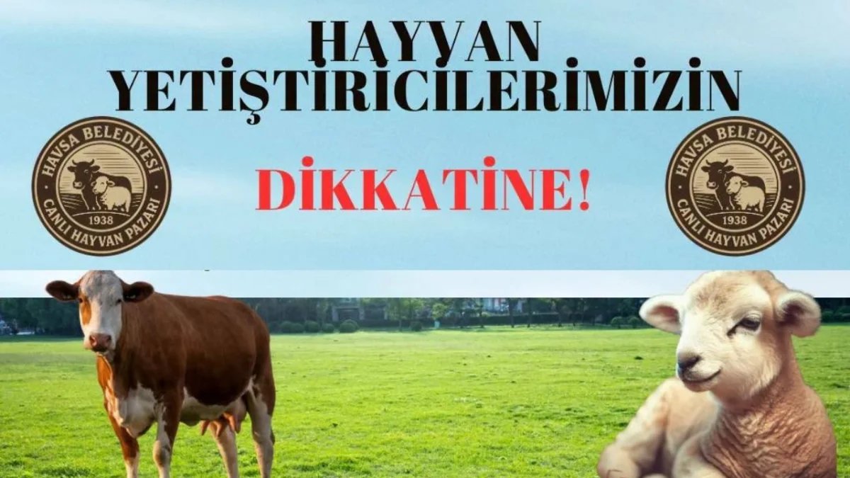 Üreticilerin dikkatine: Havsa hayvan pazarına geçici kapama