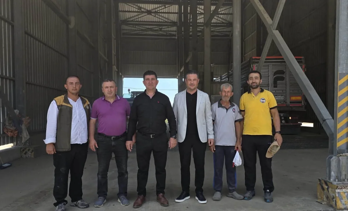 TMO'da Buğday Alım Sezonu