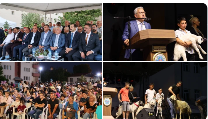 Sivas'ta Geleneksel Festivale Yoğun İlgi