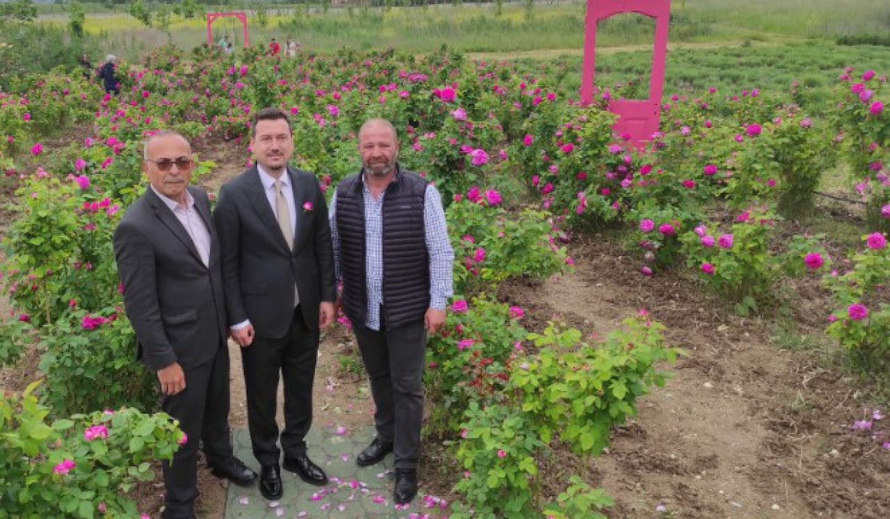 Havsa’da güller açtı