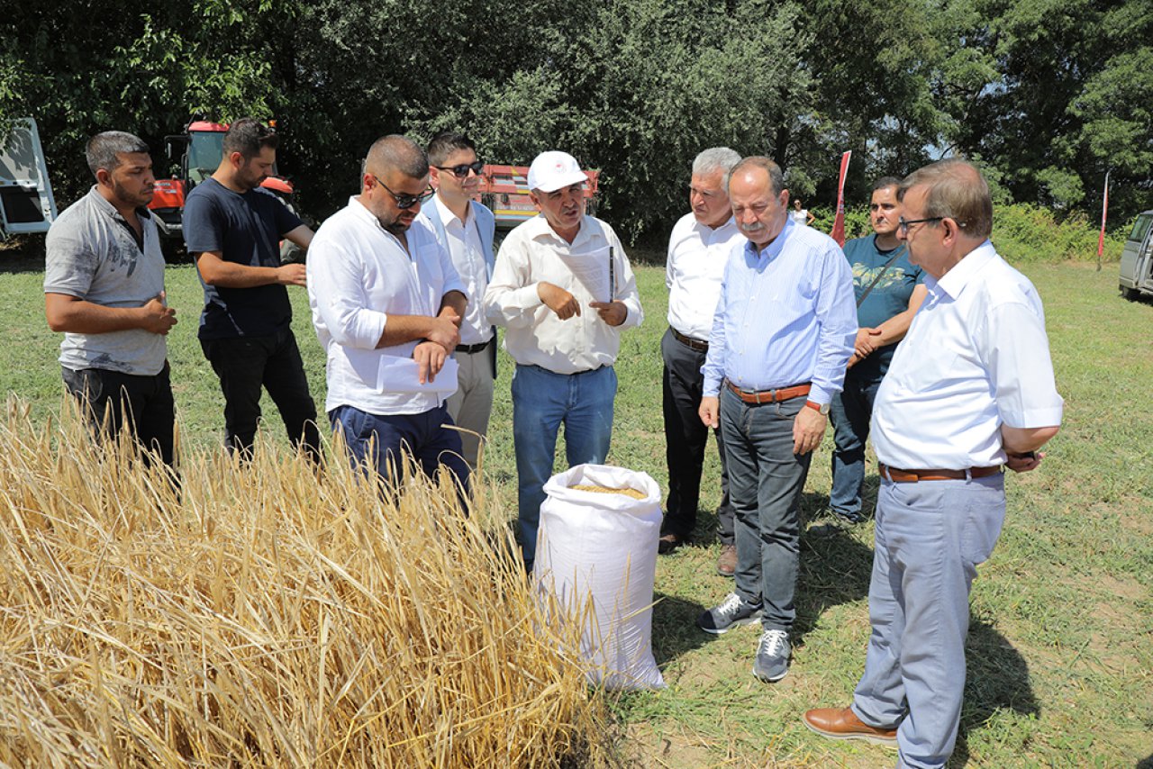Cumhuriyet çiftliğinde harman zamanı
