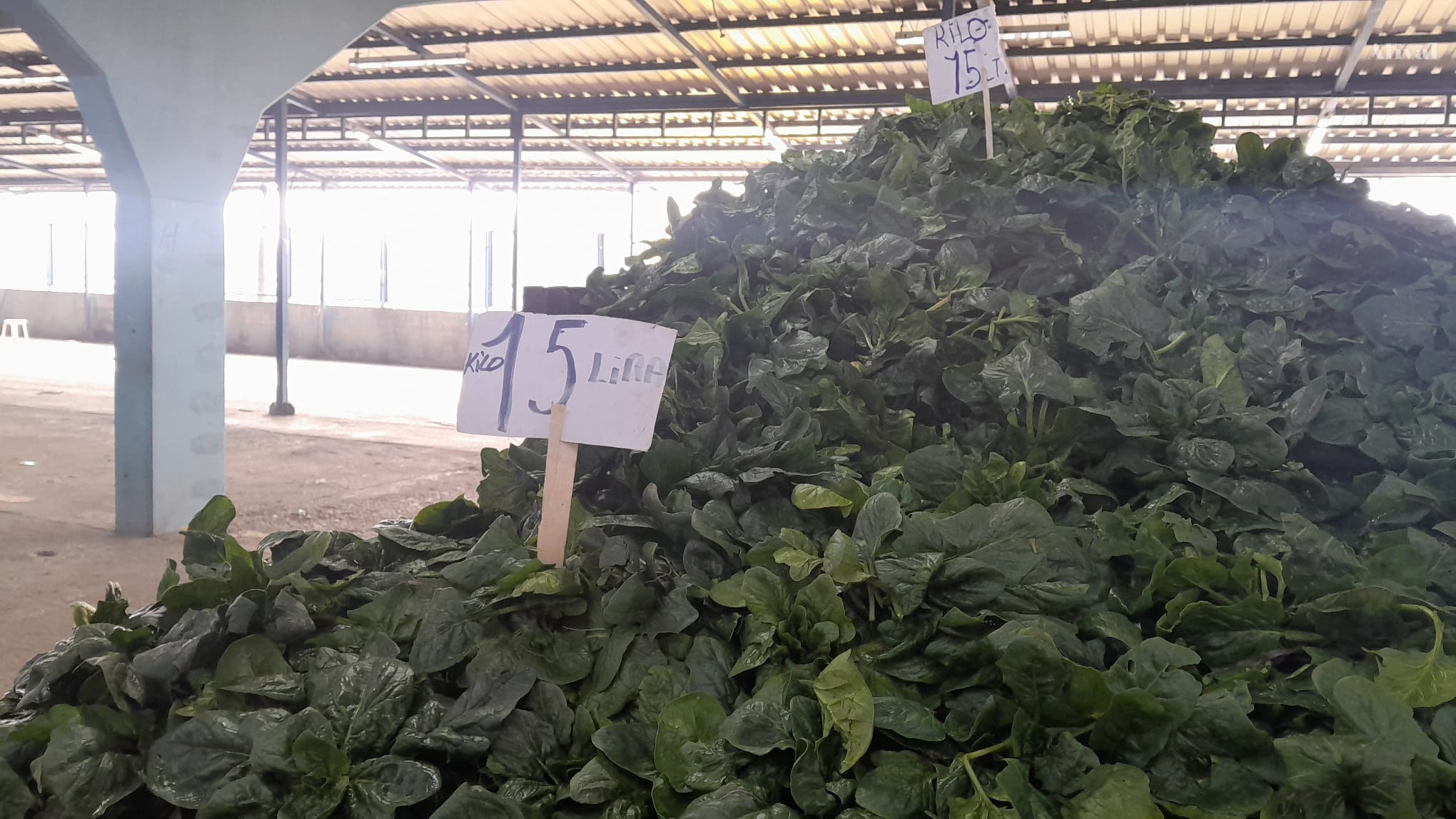 Pazarda fiyatlar soğuk havaya direniyor