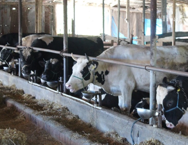 Aile işletmelerinin nesli tükeniyor
