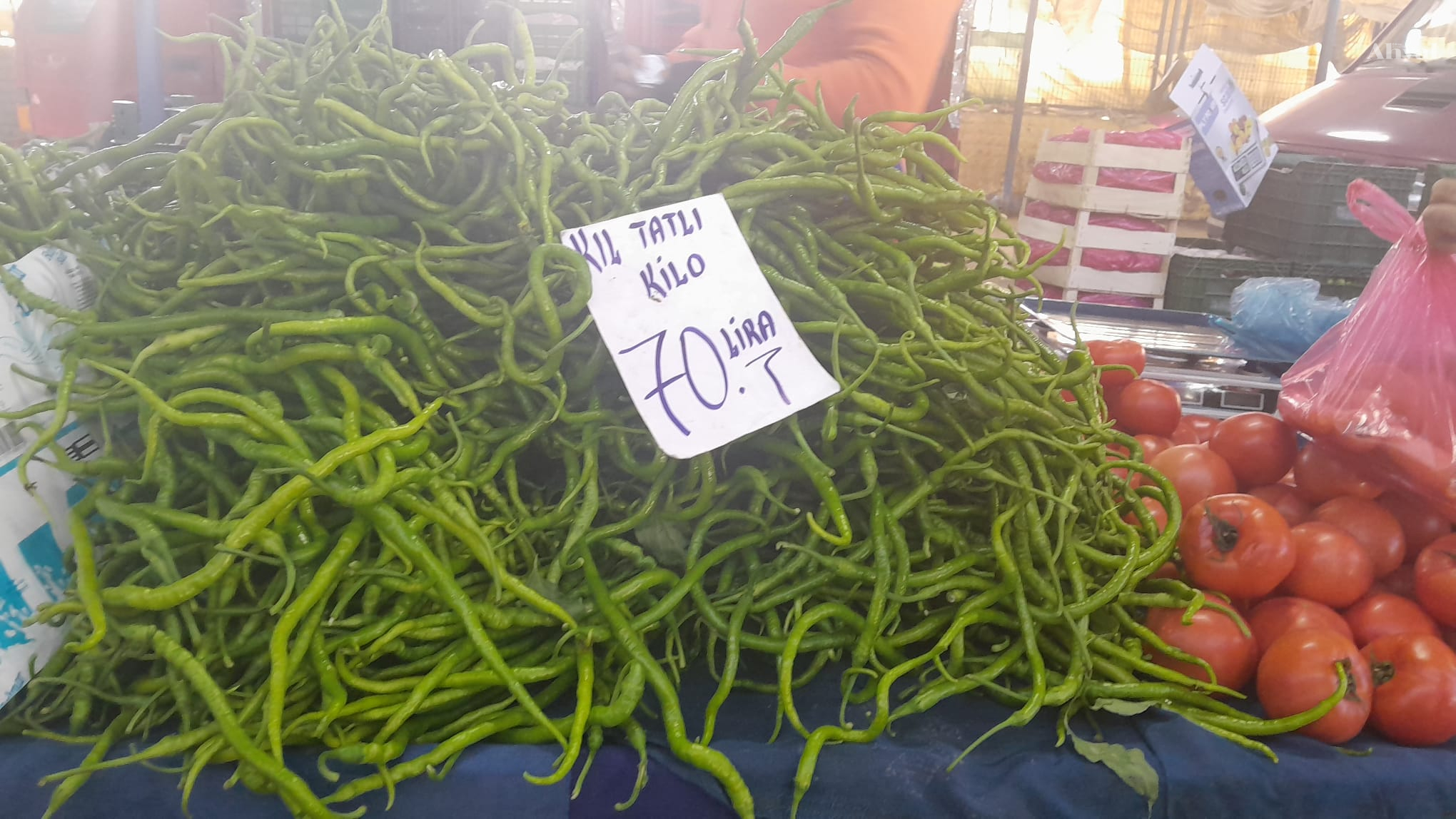 Kendi gibi fiyatı da sivri!