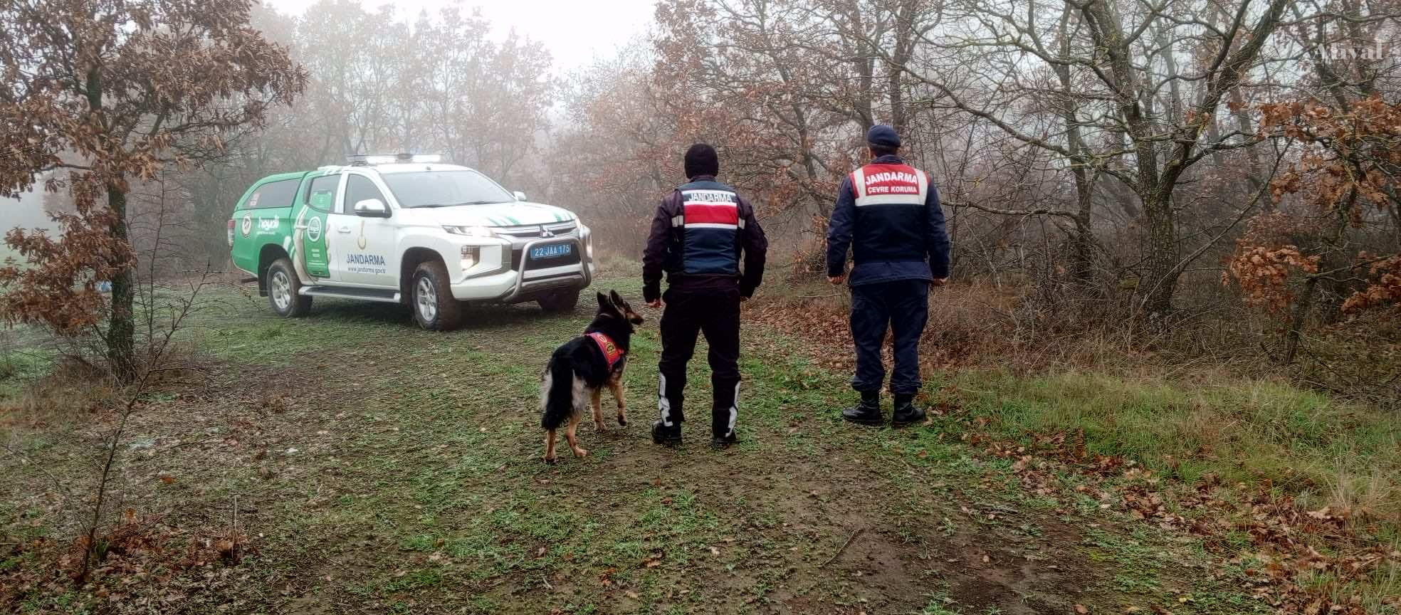 Jandarma kaçak avcılık denetiminde