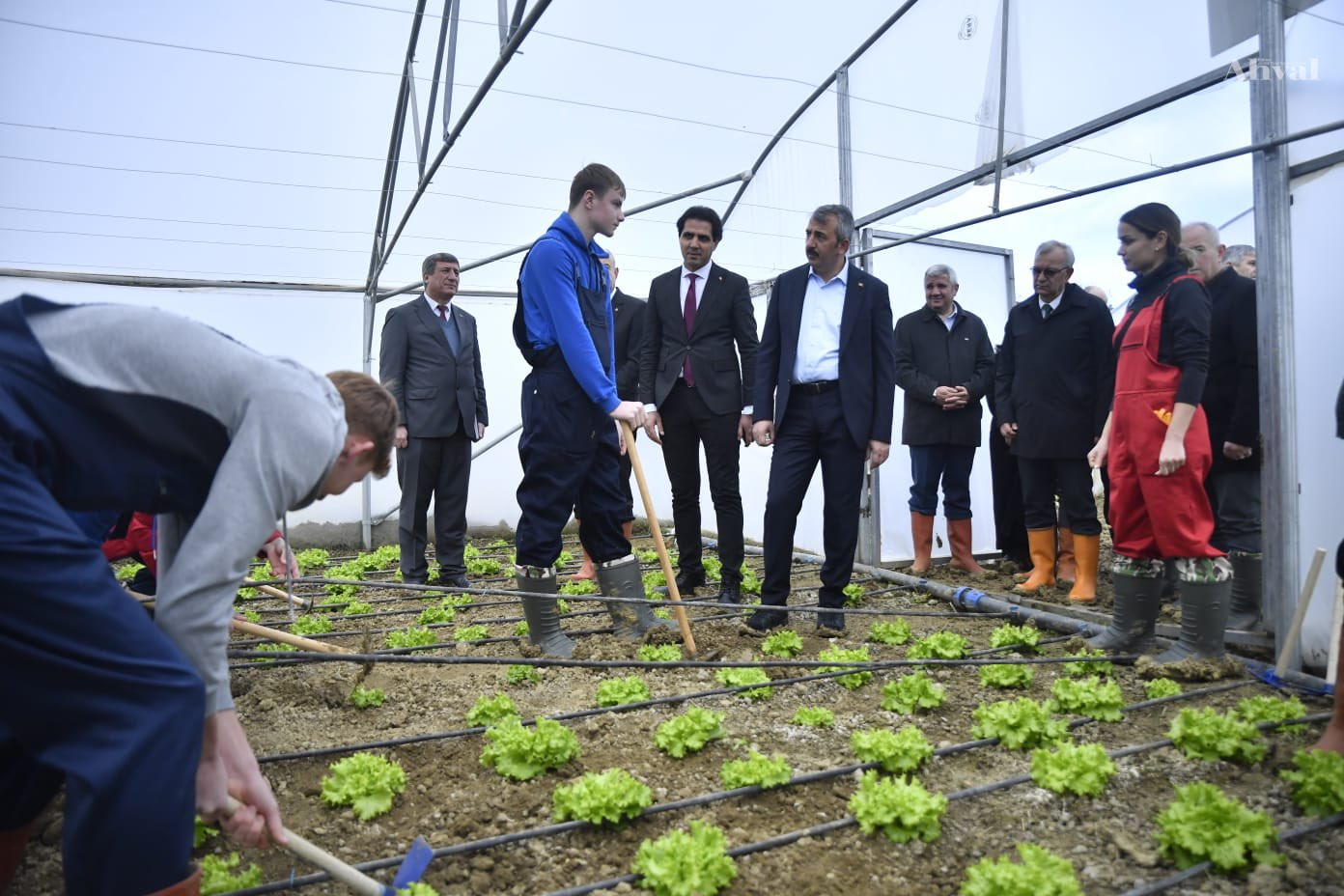 Vali Sezer İzzetiye’deki seraları inceledi