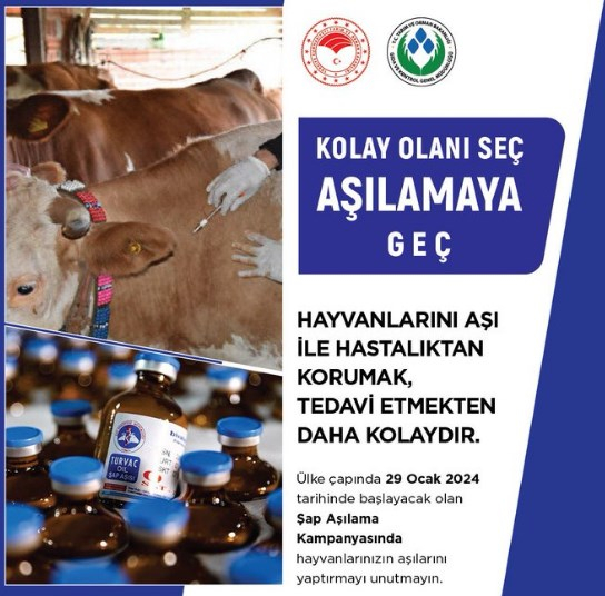 Şap hastalığına karşı aşı zamanı