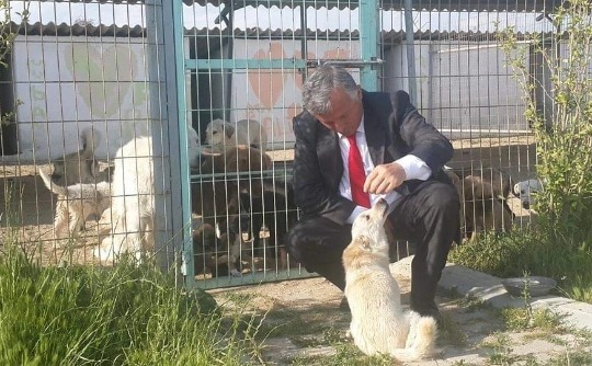 İpsala sokak köpeklerine sahip çıkacak