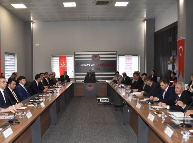 Toplantının gündemi sivrisinek