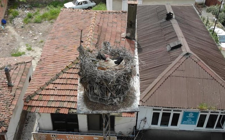  “Gelendost”, canlı yayınla takipte