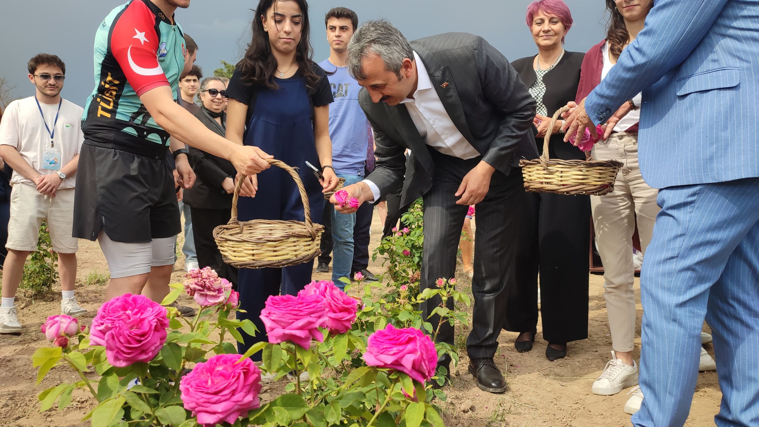 Edirne Gülü, ilk hasadıyla gün yüzüne çıktı
