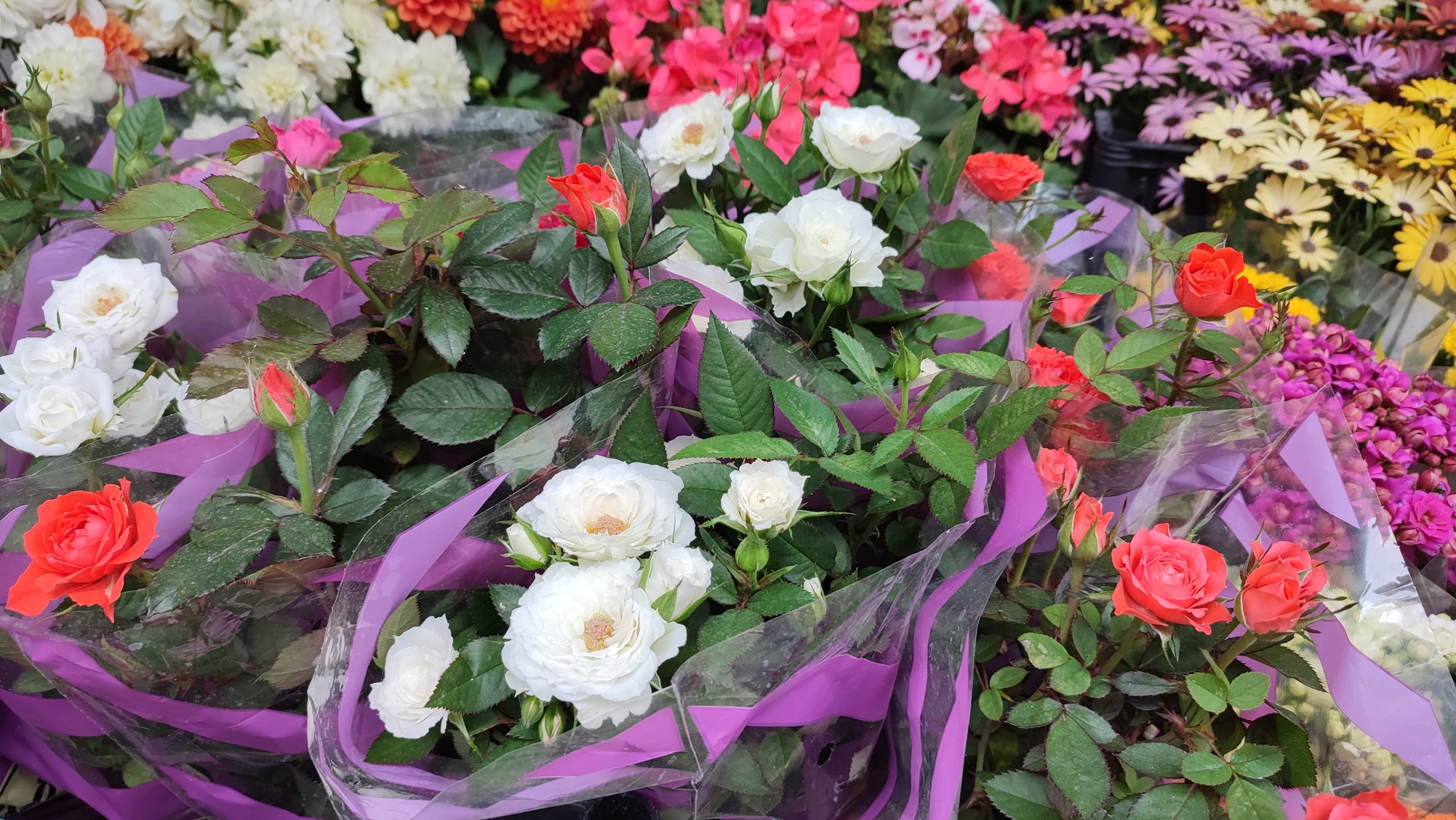 Çiçekler Anneler Günü’ne hazır