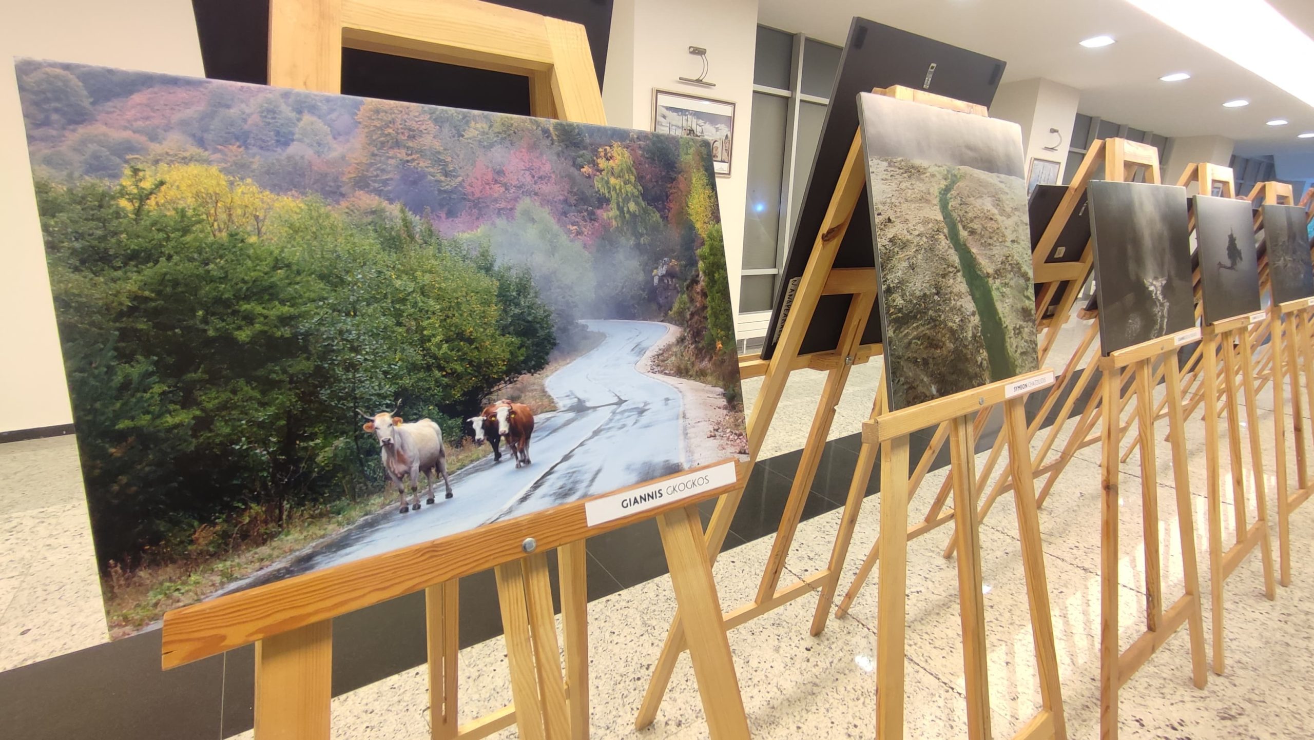 Rodop Dağları’nın eşsiz güzelliği fotoğraf karelerinde