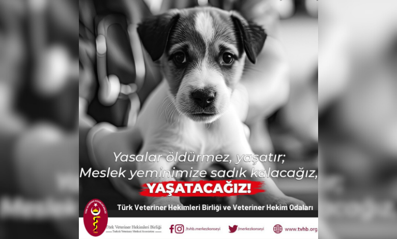 Veteriner hekimlerden yasa teklifine ret