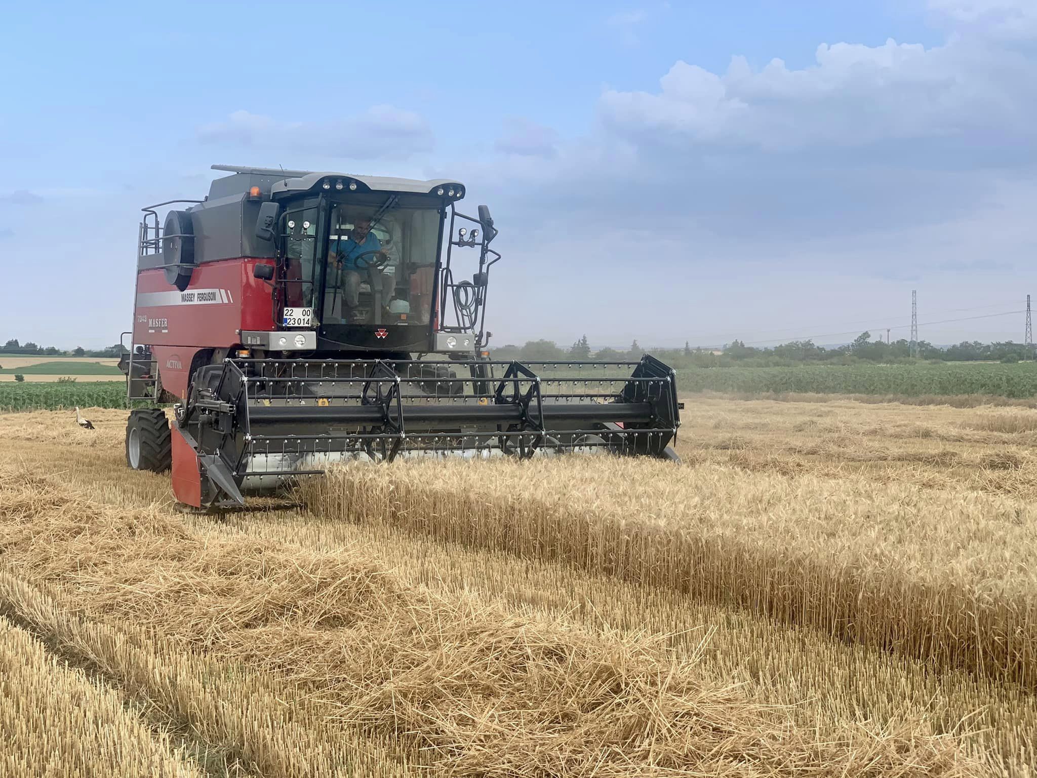 Tarımsal girdi fiyat endeksinde yüzde 52,20 artış