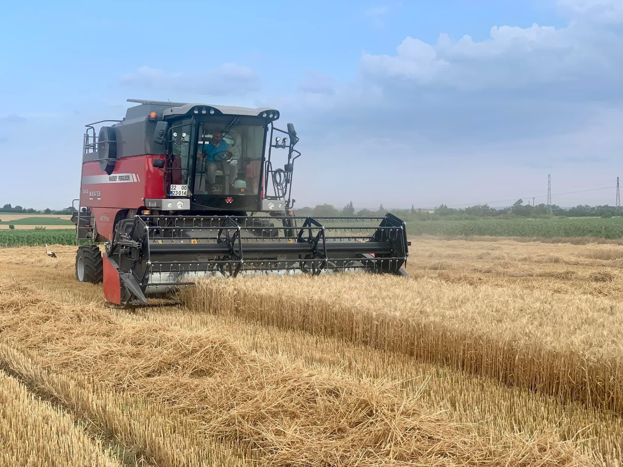 İşte TMO'nun buğday fiyatları