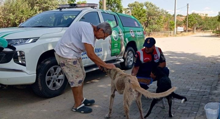 Can dostlarının bakımları Jandarma'dan