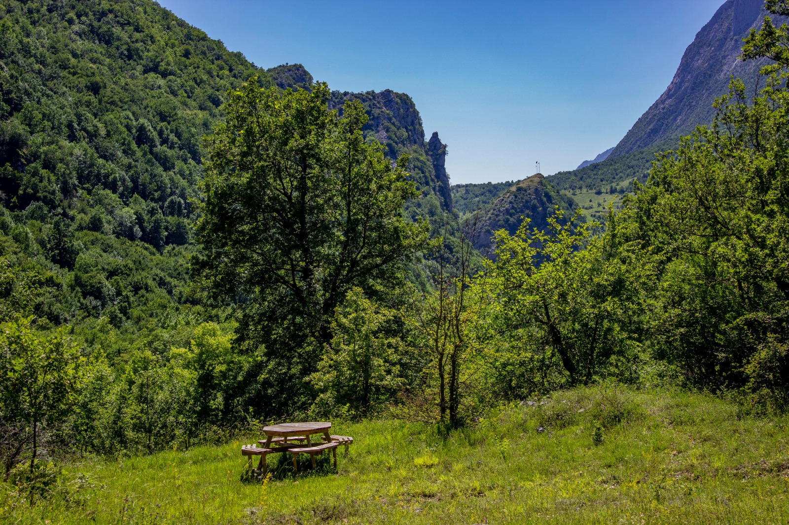 Ormanlara 3 ay giriş yasağı!