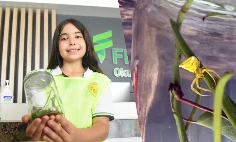 Bu okulun maskotu ‘insan yüzlü örümcek’